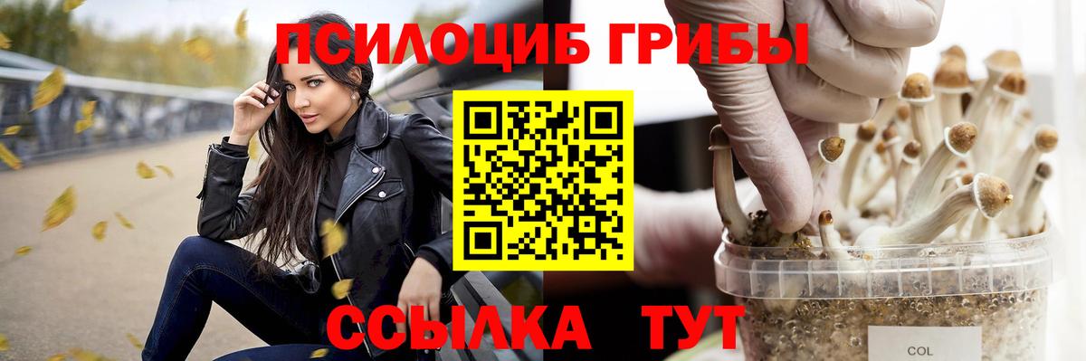 Звенигород  Галлюциногенные грибы Psilocybe  Вход с VPN 